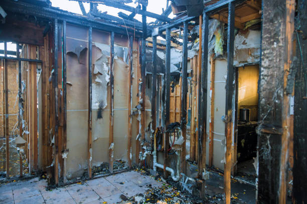 Professional Fire Damage Repair technician working in Odessa, FL