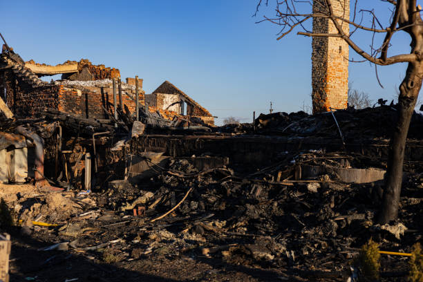 Reliable Fire Damage Repair contractor in Odessa, FL by Fire Damage Doption