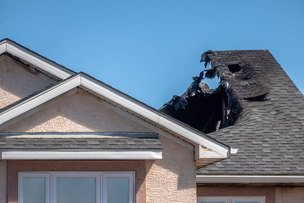 Top rated local Fire Damage Repair specialists in Odessa, FL